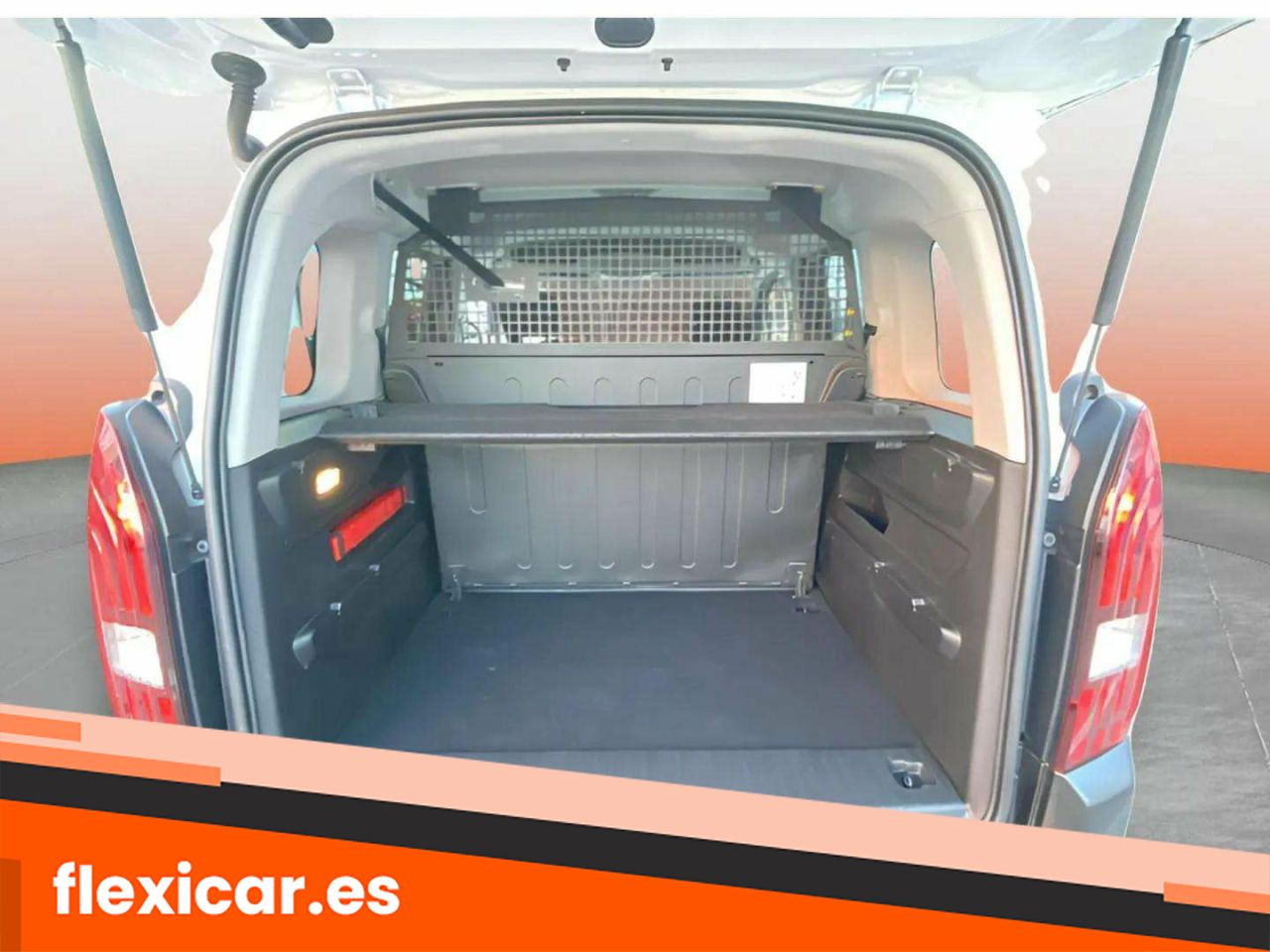 Foto Peugeot Rifter 10