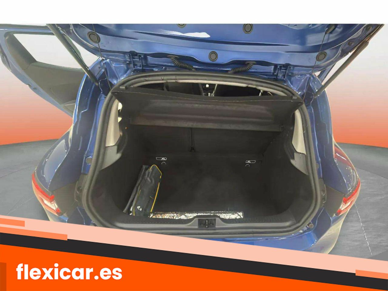 Foto Renault Clio 18