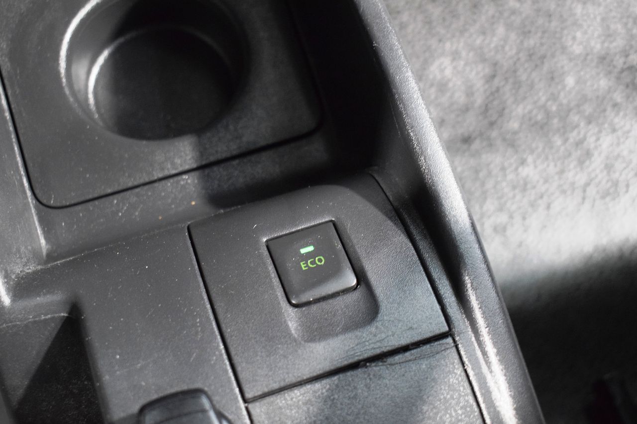 Foto Renault Kangoo 21