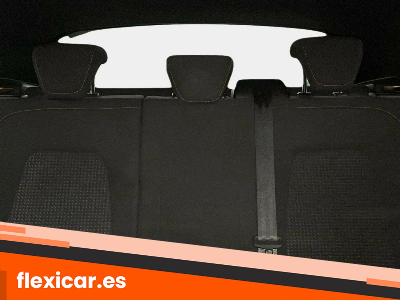 Foto Ford Focus 19