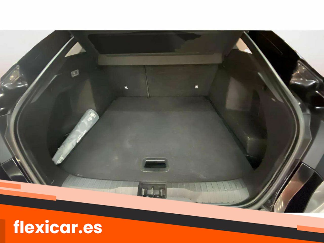 Foto Renault Arkana 14