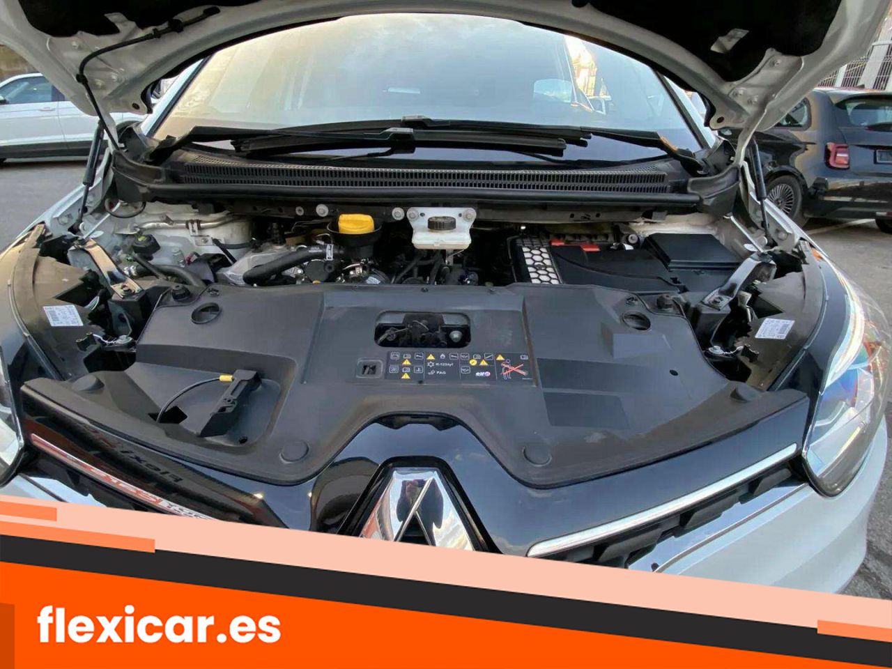 Foto Renault Scénic 19