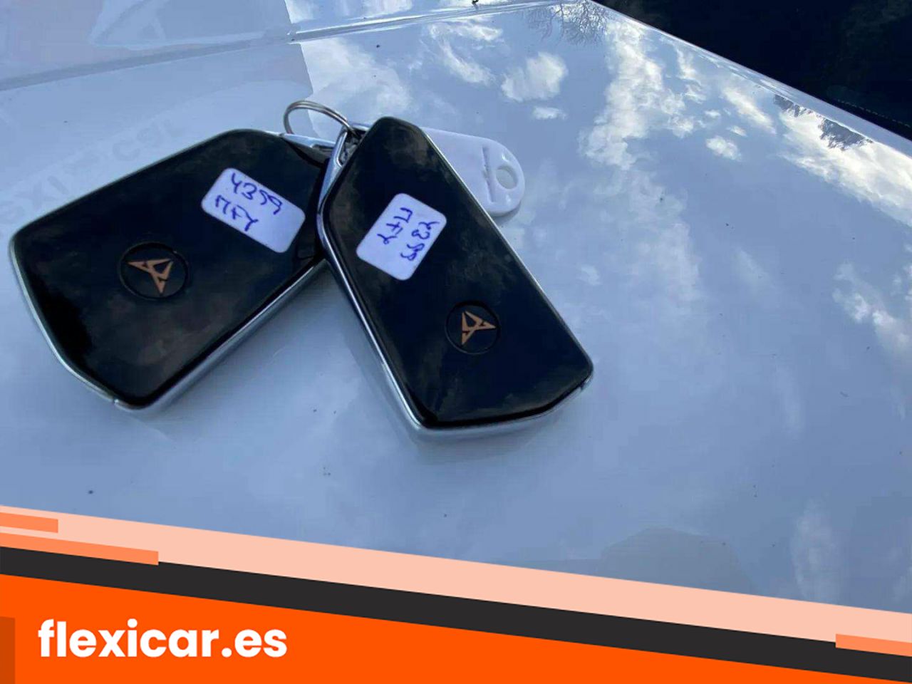 Foto Cupra León 24