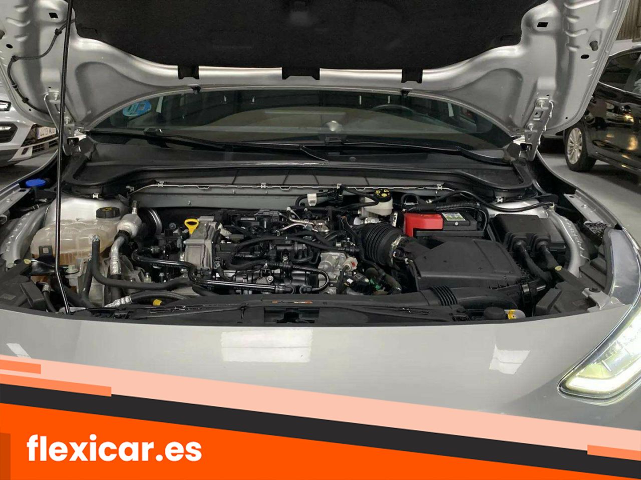Foto Ford Focus 18