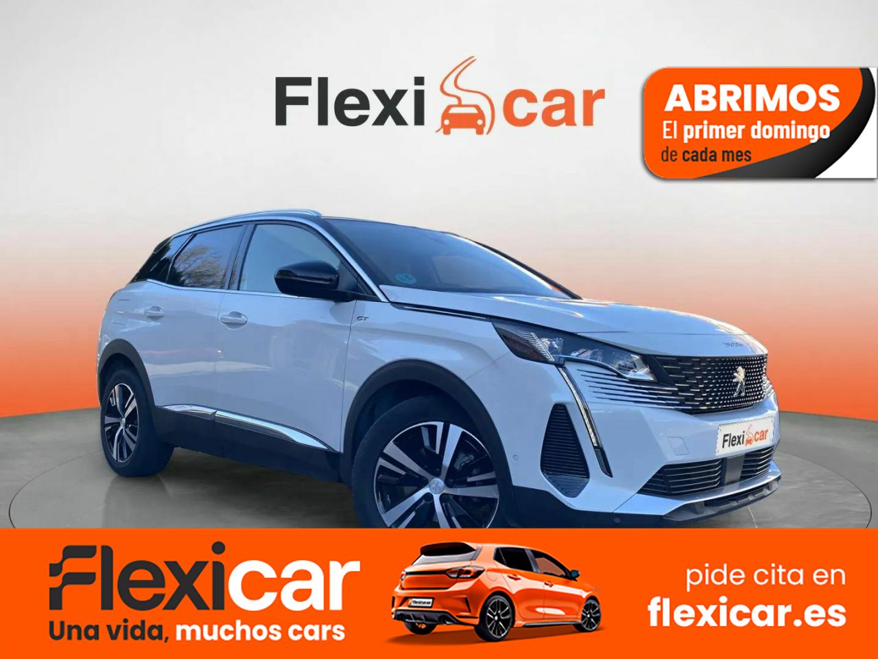 Foto Peugeot 3008 1