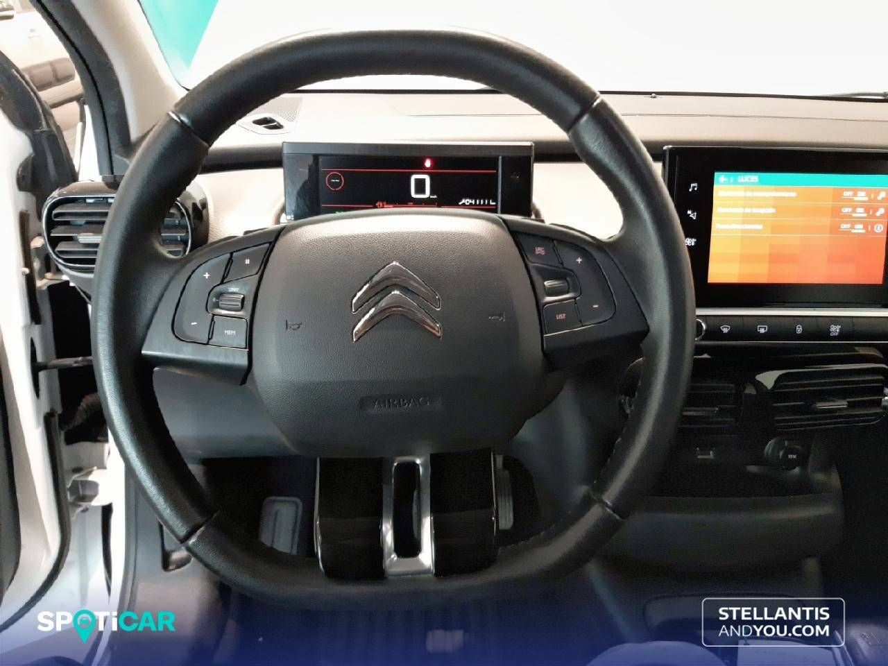 Foto Citroën C4 Cactus 19