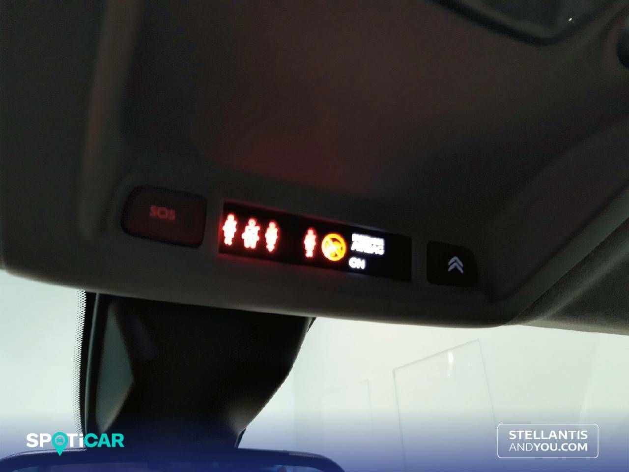 Foto Citroën C4 Cactus 21
