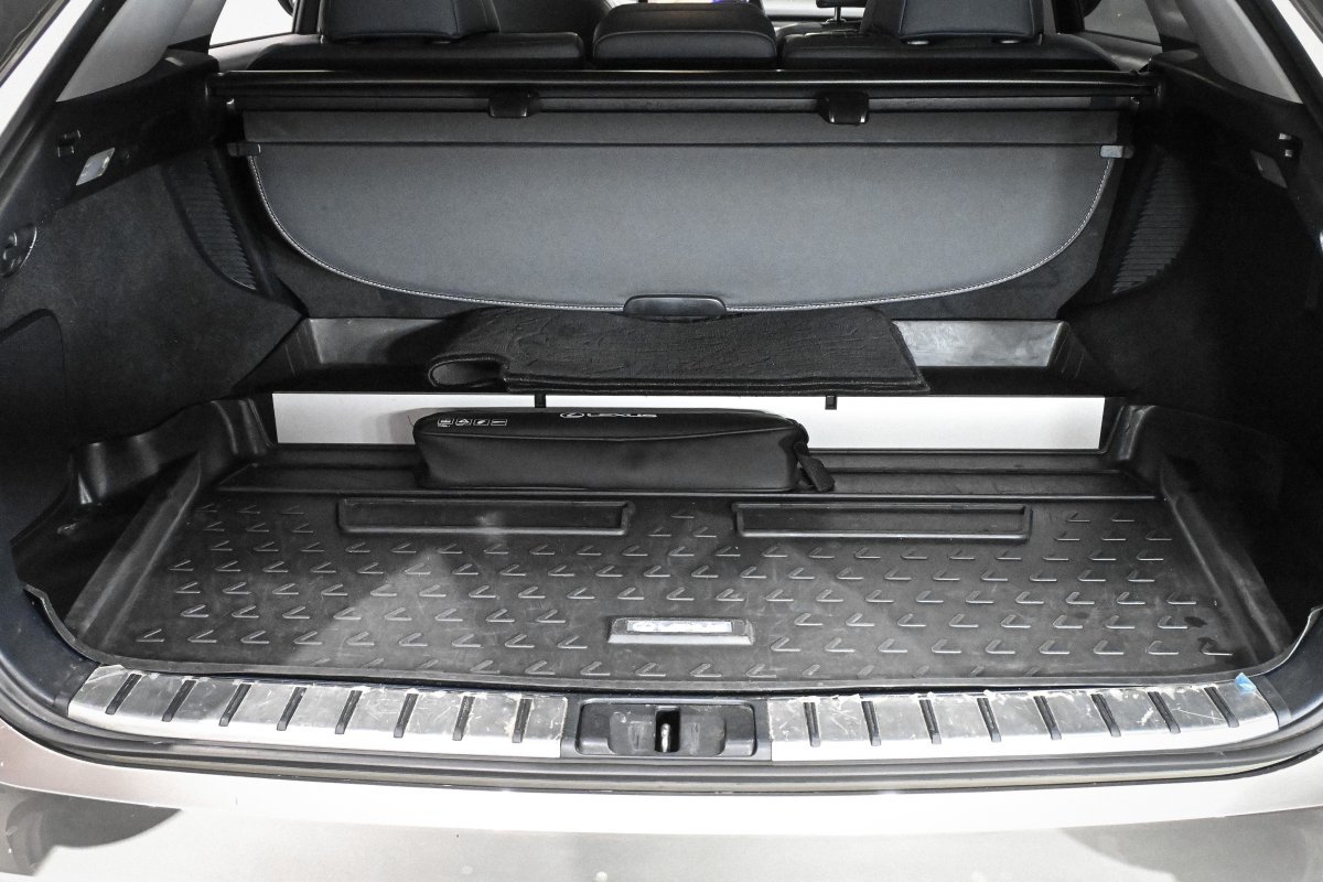 Foto Lexus RX 8