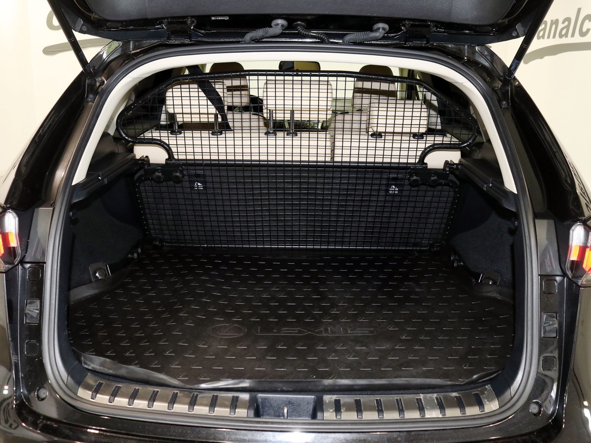 Foto Lexus NX 8