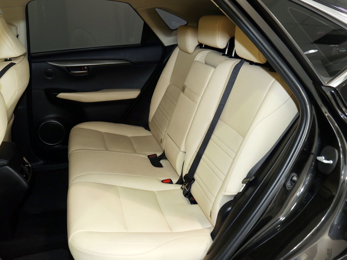 Foto Lexus NX 11