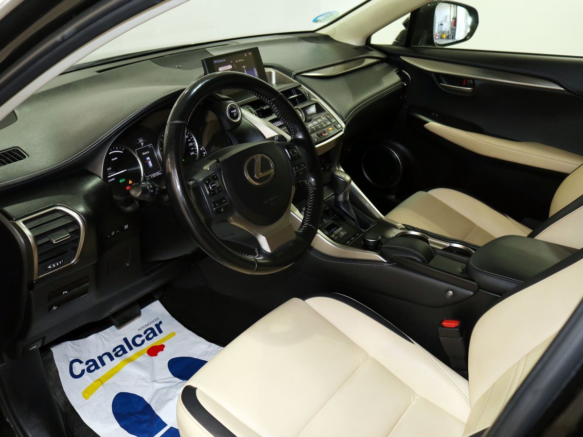 Foto Lexus NX 13