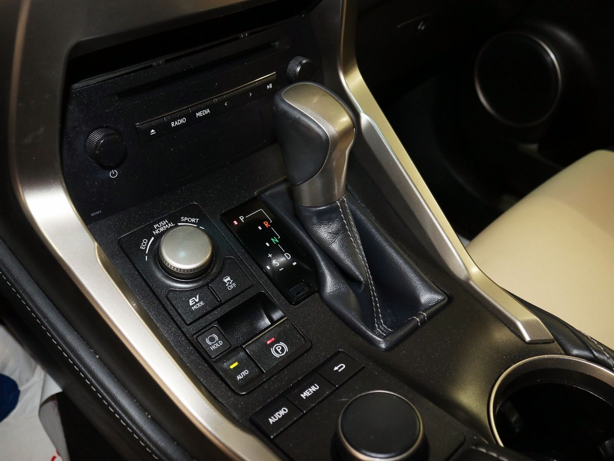 Foto Lexus NX 26