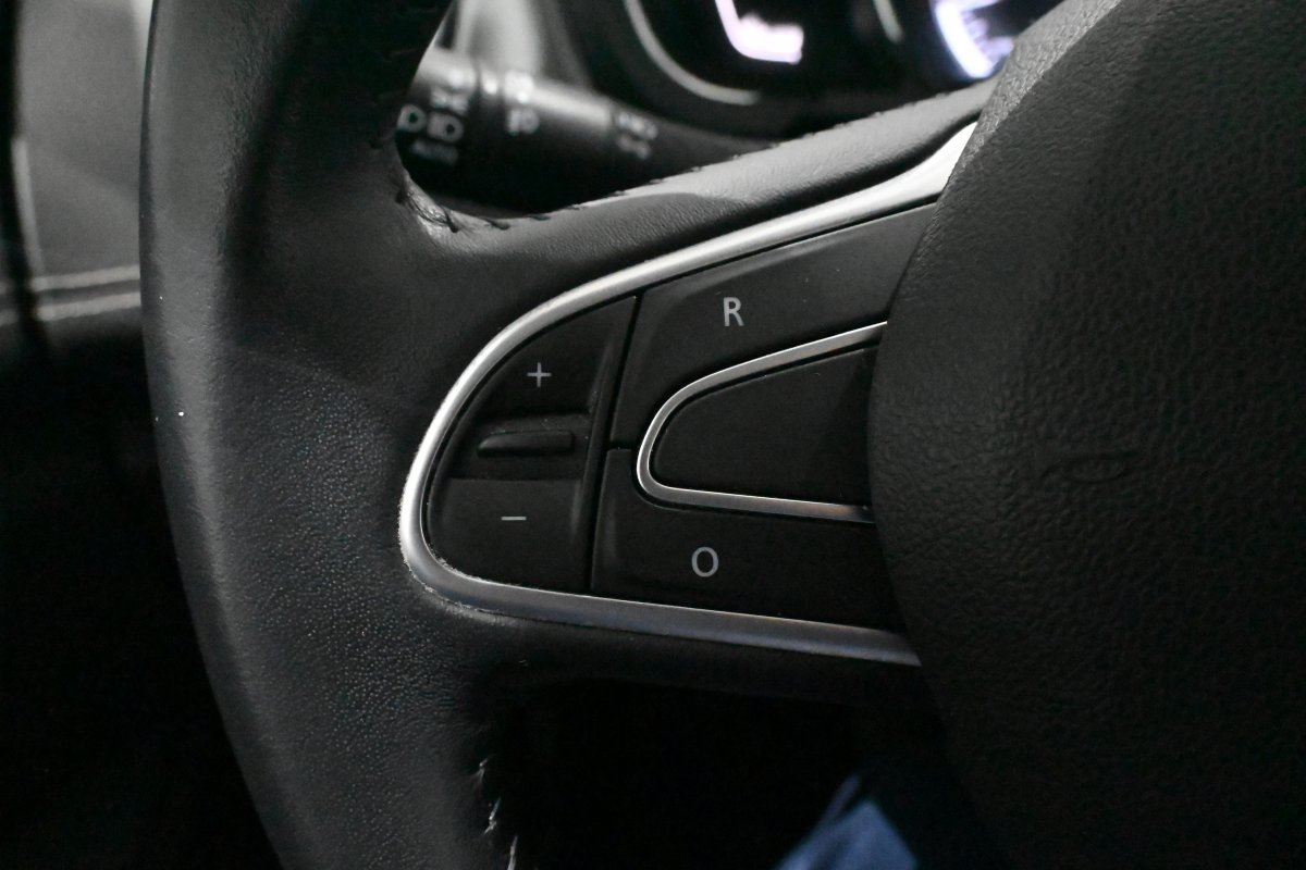 Foto Renault Scénic 31