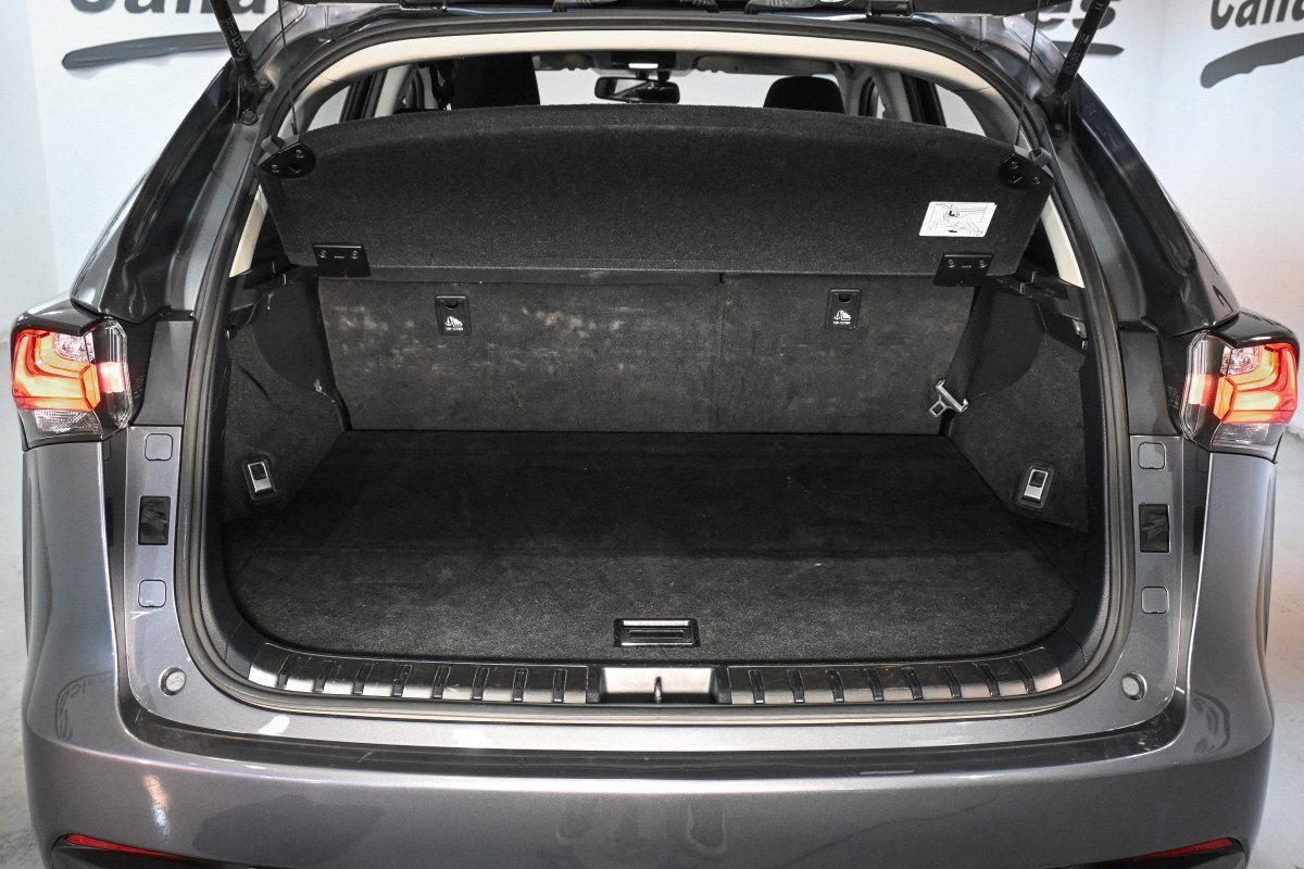 Foto Lexus NX 8