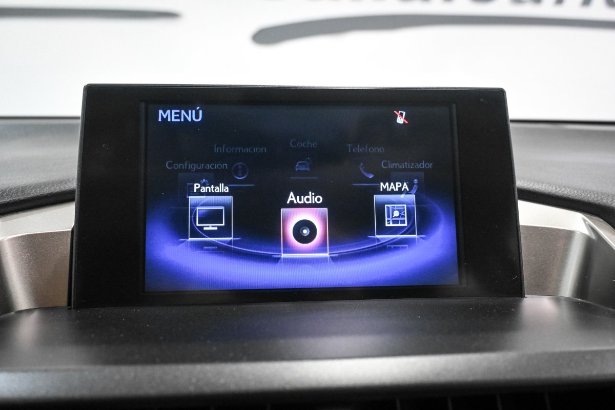 Foto Lexus NX 13
