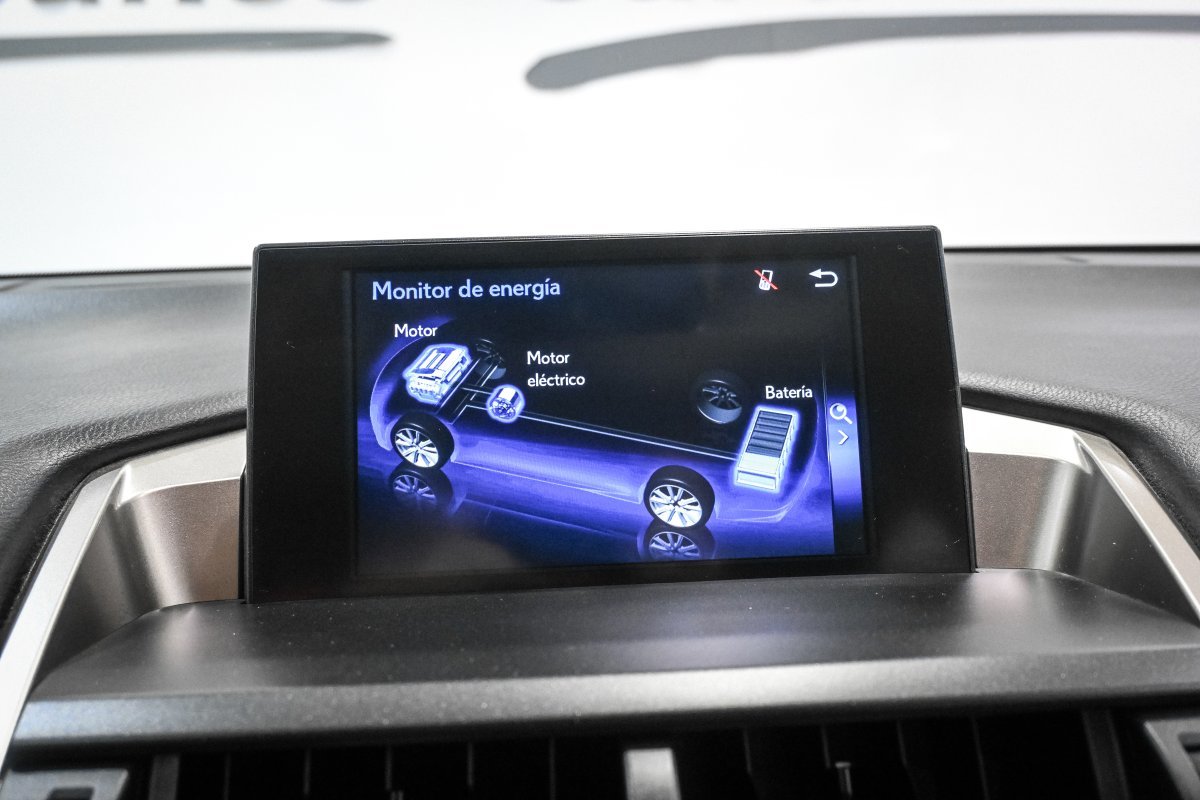 Foto Lexus NX 18