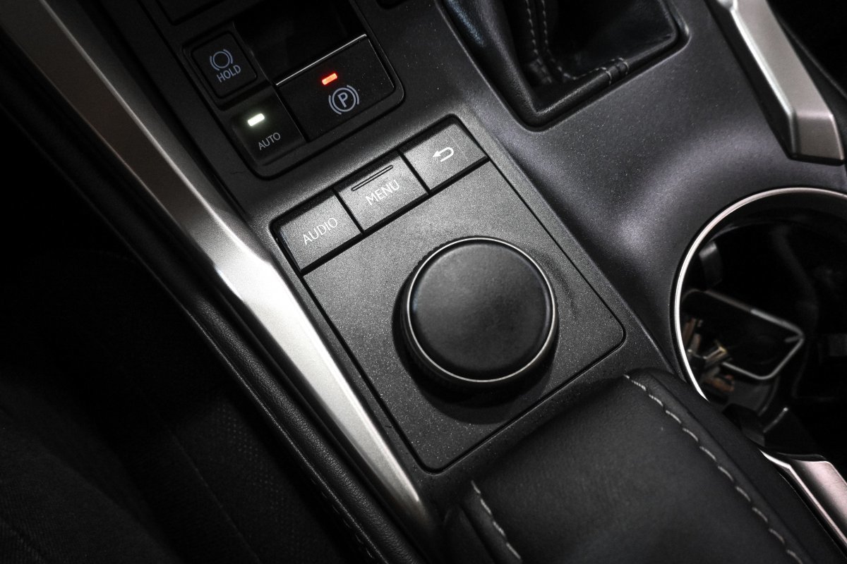Foto Lexus NX 23
