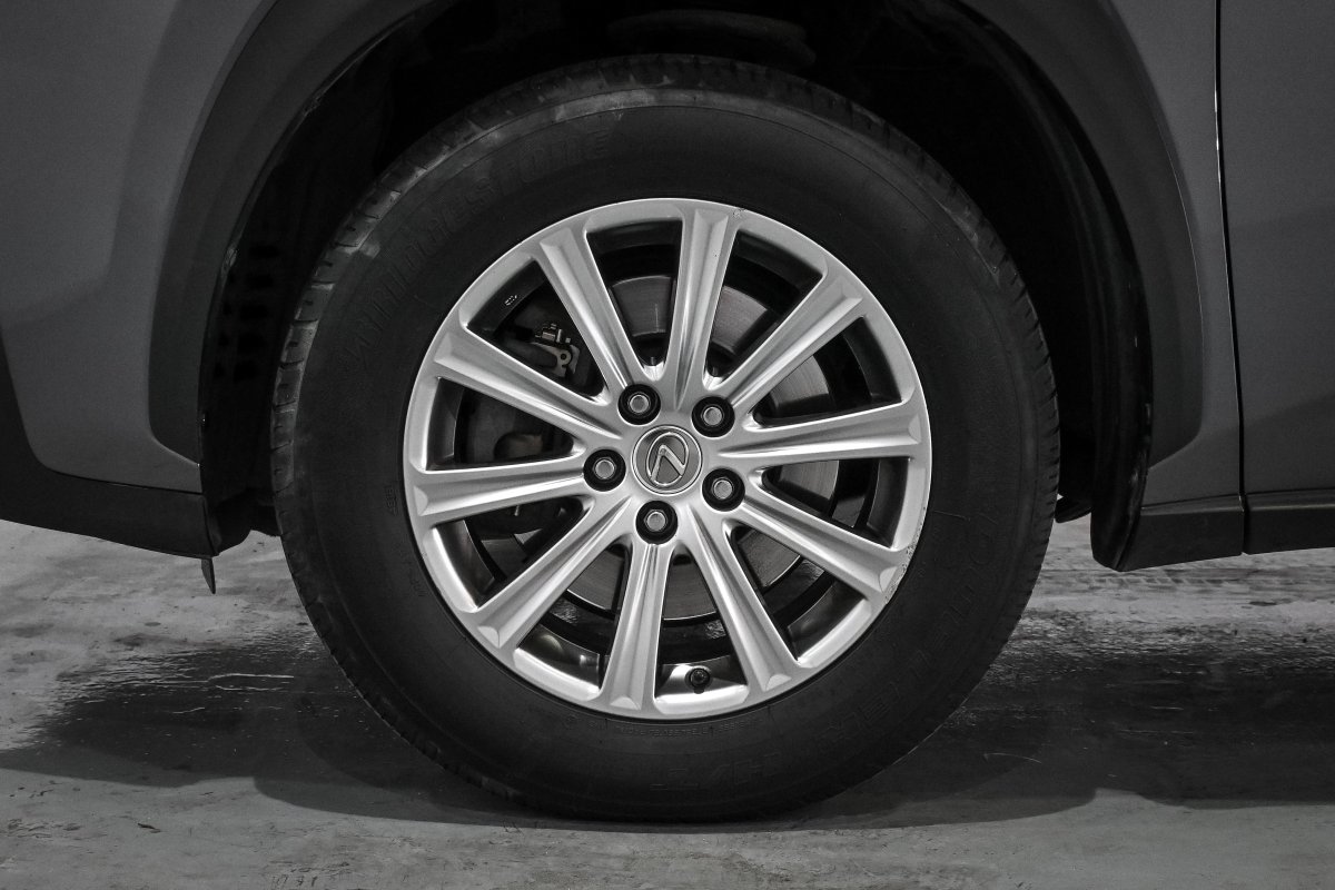 Foto Lexus NX 31
