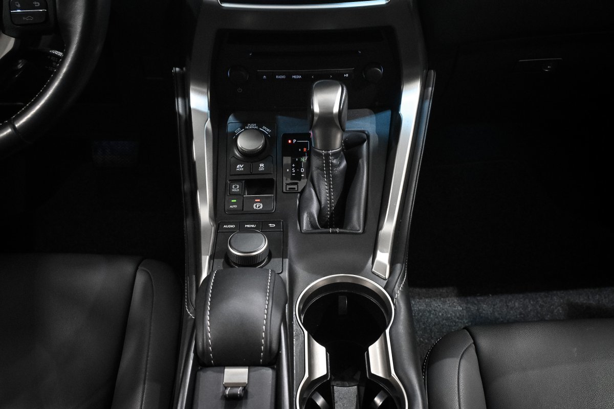 Foto Lexus NX 22