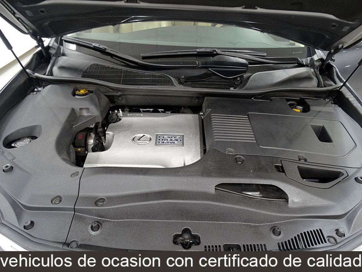 Foto Lexus RX 12
