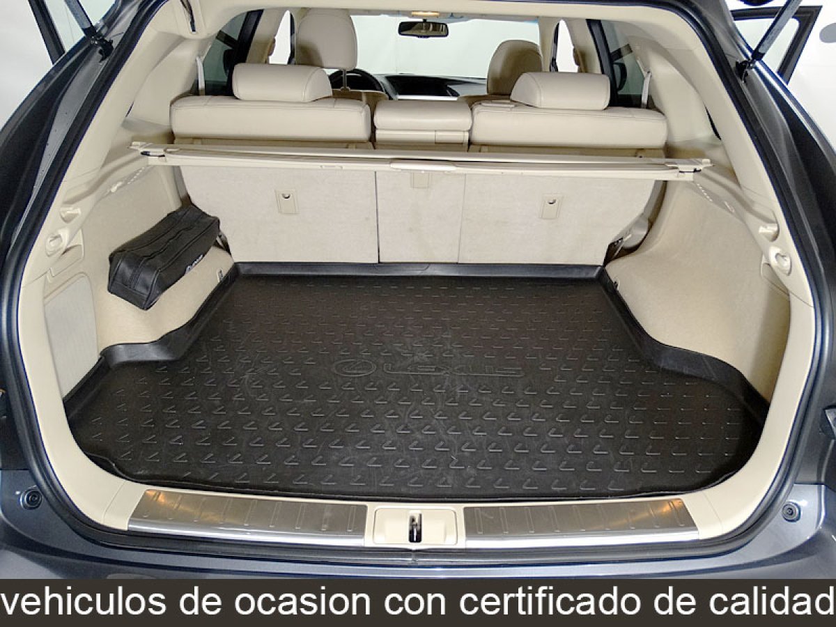 Foto Lexus RX 13