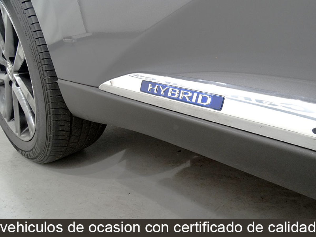 Foto Lexus RX 18