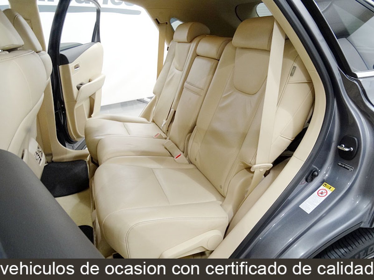 Foto Lexus RX 23