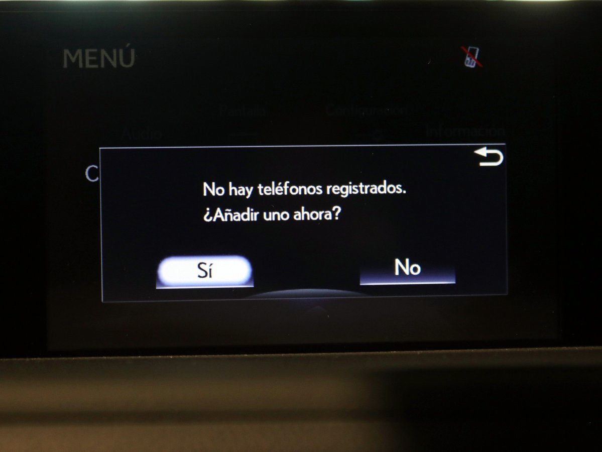 Foto Lexus CT 19