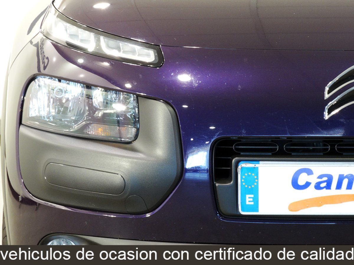 Foto Citroën C4 Cactus 10